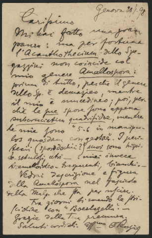 Anteprima dell'oggetto