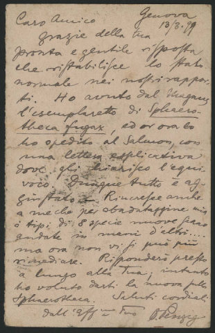 Anteprima dell'oggetto