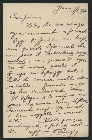 Anteprima dell'oggetto