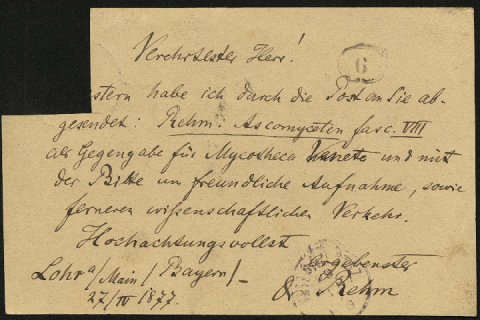 Anteprima dell'oggetto