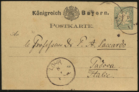 Anteprima dell'oggetto