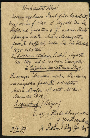 Anteprima dell'oggetto