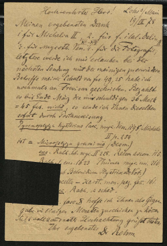 Anteprima dell'oggetto