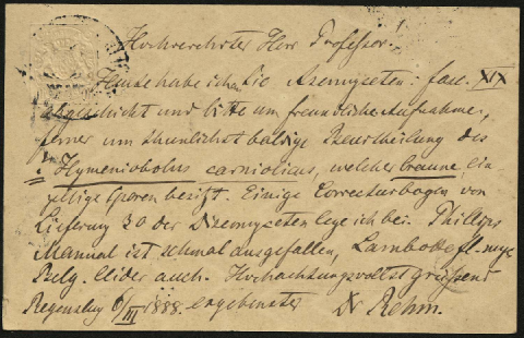 Anteprima dell'oggetto