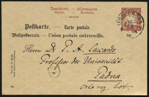 Anteprima dell'oggetto