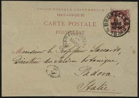 Anteprima dell'oggetto