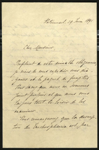 Anteprima dell'oggetto