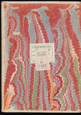 Anteprima dell'oggetto