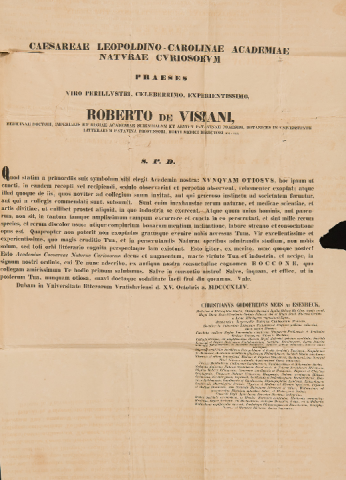 Anteprima dell'oggetto