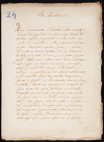 Anteprima dell'oggetto