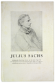 Julius Sachs