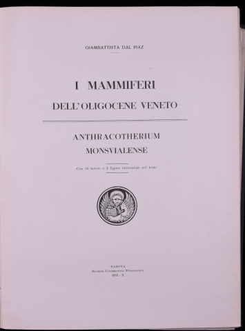 Anteprima dell'oggetto