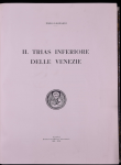11.1: Il trias Inferiore delle Venezie
