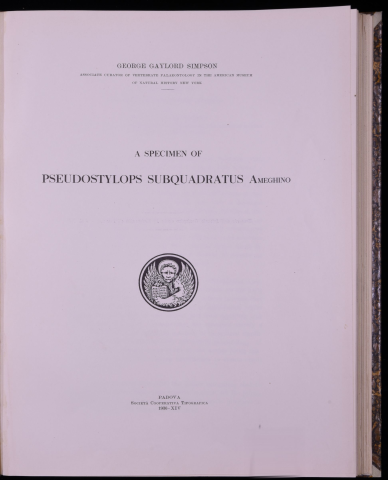 Anteprima dell'oggetto