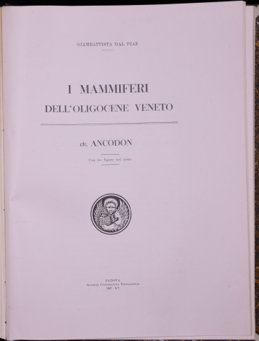 Anteprima dell'oggetto