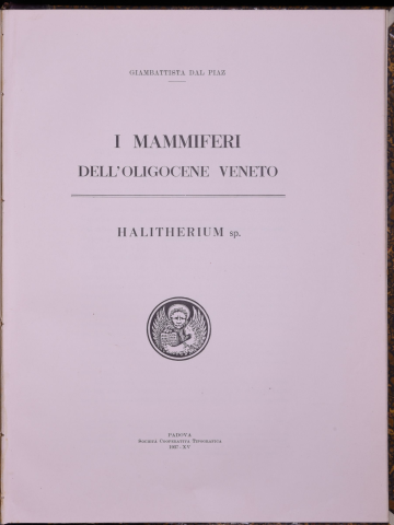 Anteprima dell'oggetto