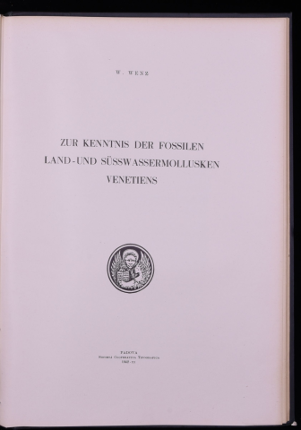 Anteprima dell'oggetto