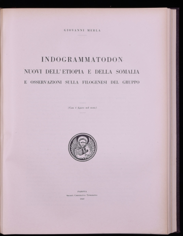 Anteprima dell'oggetto