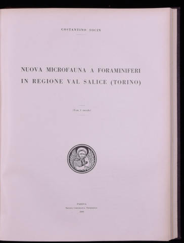 Anteprima dell'oggetto