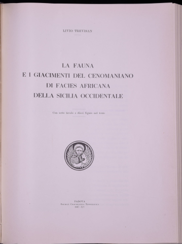 Anteprima dell'oggetto