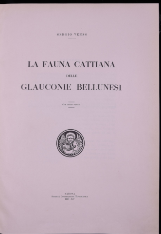 Anteprima dell'oggetto