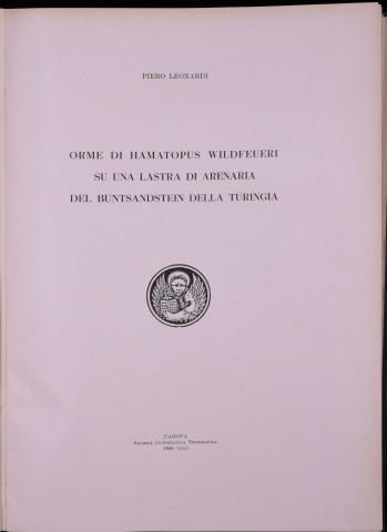 Anteprima dell'oggetto