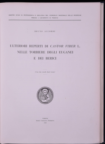 Anteprima dell'oggetto