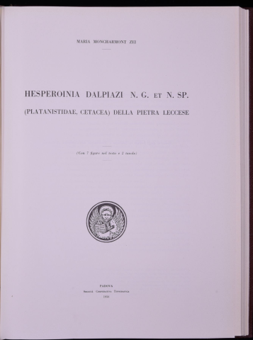 Anteprima dell'oggetto