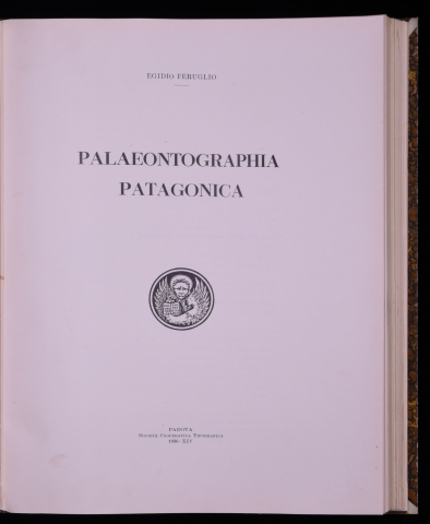 Anteprima dell'oggetto