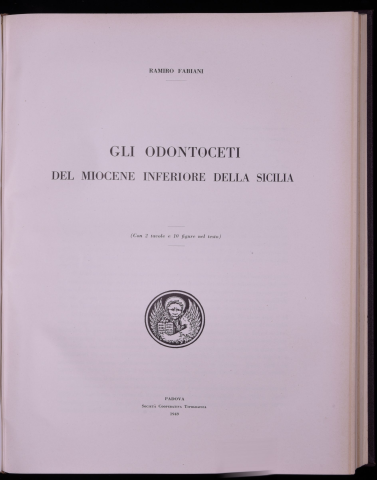 Anteprima dell'oggetto