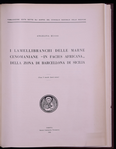 Anteprima dell'oggetto