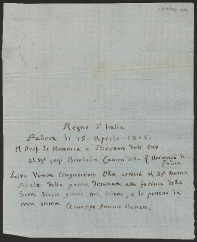 Anteprima dell'oggetto