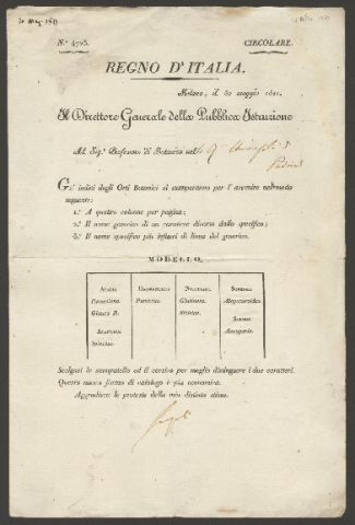 Anteprima dell'oggetto