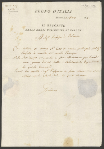 Anteprima dell'oggetto