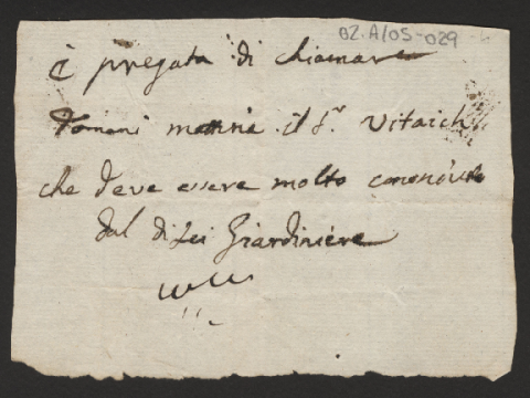 Anteprima dell'oggetto