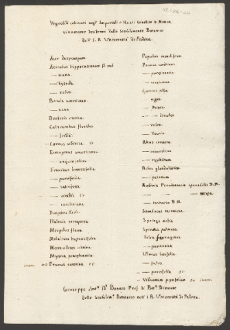 Anteprima dell'oggetto