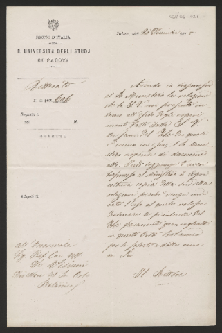 Anteprima dell'oggetto