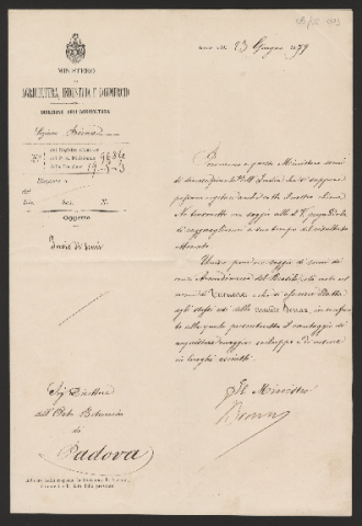 Anteprima dell'oggetto