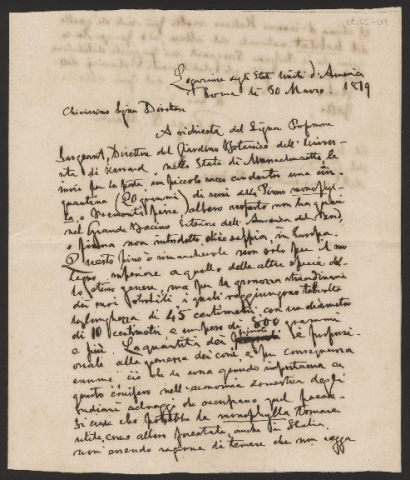 Anteprima dell'oggetto