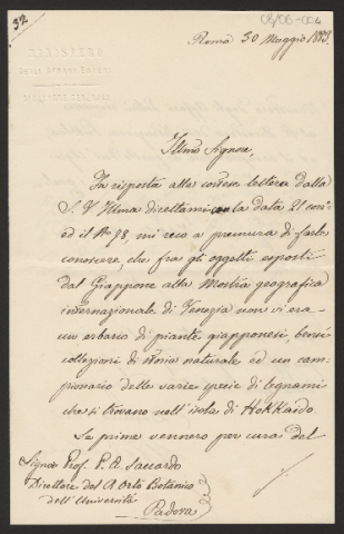 Anteprima dell'oggetto