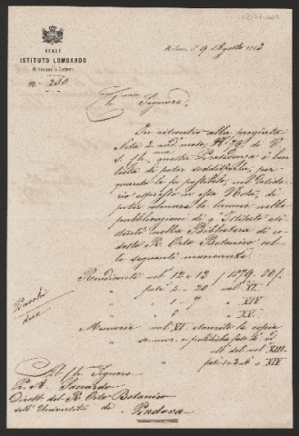 Anteprima dell'oggetto