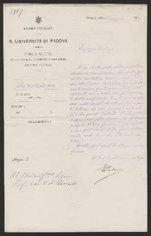 Anteprima dell'oggetto