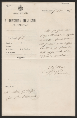 Anteprima dell'oggetto