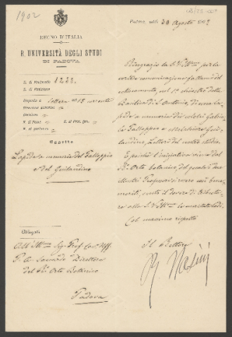 Anteprima dell'oggetto