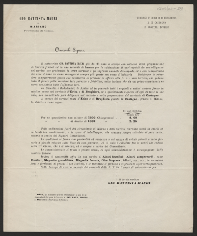 Anteprima dell'oggetto