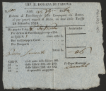 "Polizze e rendiconti spese Orto botanico" - 007