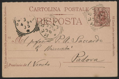 Anteprima dell'oggetto