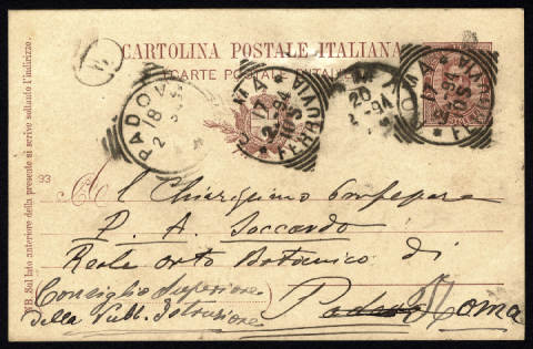 Anteprima dell'oggetto