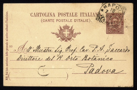 Anteprima dell'oggetto