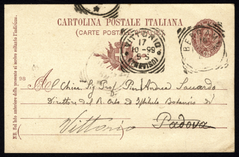 Anteprima dell'oggetto